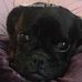 David Ibbetson - Facebook