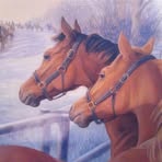 David Ibbotson - Facebook