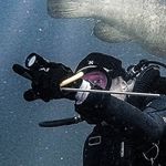 David Insley - @blues_runner - Instagram
