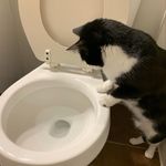 David Ivester - @ivester.david - Instagram