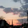 Davidizzi69 - @davidizzi01 - TikTok