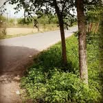 david jabari - @davidg782021 - Instagram