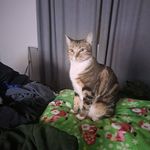David Jackman - @djack868 - Instagram