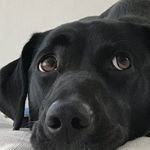 David Jaffe - @jaffe67 - Instagram
