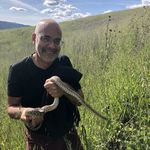 David Jaffe - @davidbjaffe - Instagram