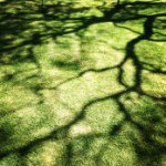 @davidjaggers - Instagram