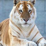 David Janis - @david.janis.90 - Instagram