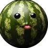 David Janisz-Shefsky - @david.janiszshefs - TikTok