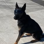 David Janke - @jaxgsd1897 - Instagram