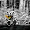 david_jans - @david_jans0 - TikTok