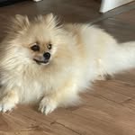 David Janssen - @david_jansn - Instagram