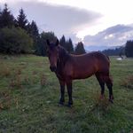 David Janša - @davidjansa08 - Instagram