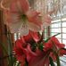 David Jansma - Facebook