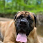 @david.jansonspam - Instagram