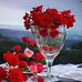 David Janson - Facebook