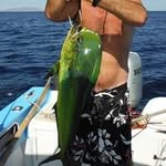 David Jantzen - @davidjantzen - Instagram