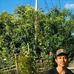 David January - Facebook