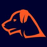 David Janusz - @precision_retrievers - Instagram