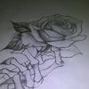 David - @david.janvier - TikTok