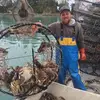 davidjanzen70 - @davidjanzen70 - TikTok
