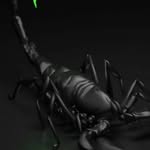 david japhet mukama - @davidjaphetmukama_61 - Instagram