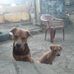 David Jaquin - Facebook