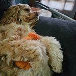 David Jaquith - @david.jaquith.9 - Instagram