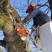 David et votre jardin - Facebook