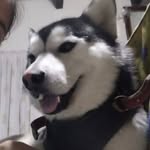 David Jardon Rodriguez - @davjardrodz - Instagram