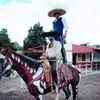 davidjaredruiz - @davidjaredruiz - TikTok
