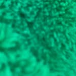 @david_jarkerk - Instagram