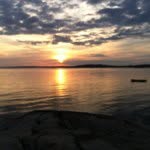David Jarl - @jarldavid - Instagram