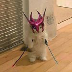 @david.jaros_ - Instagram