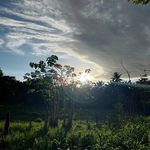 DAVID JARQUIN 🌴 - @ddavid_ja - Instagram