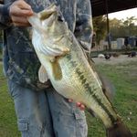 Jordan David jarrell - @mr.salty41_2 - Instagram