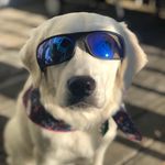 djayjarry - @davidjarry - Instagram