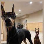 David Jarvinen - @d_jarvinen - Instagram