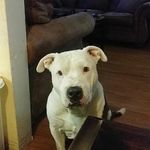 David Jarvis - @davidjarvis4791 - Instagram