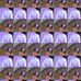 David Jasso - Facebook