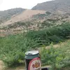 david_javid - @david_javid - TikTok