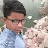 David Javid - @davidjavid - TikTok