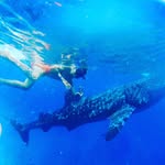 david javid tan - @davidjavidtan - Instagram