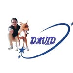 David Javier Sánchez - @davidjavier.sanchez - Instagram