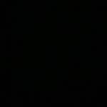 David Javor - @davidj13178 - Instagram