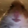 David Javorský978 - @david24javi1kide - TikTok