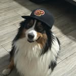 David Javorský - @dejvis24_ - Instagram