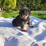David Jaworowski - @ratiiekhiem - Instagram
