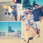 David Jaworski - @djjawors77 - Instagram