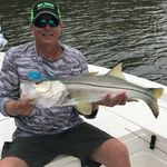 David Jaycox - @dragonswire - Instagram