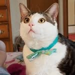 David Jayne - @david.jayne.1276 - Instagram